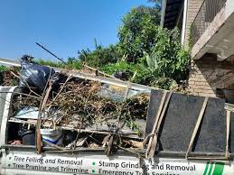 Best Attic Cleanout  in Ramona, CA